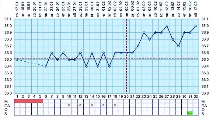 График базальной температуры при беременности эко. Западение на графике базальной температуры. График базальной температуры после эко при беременности. Базальная температура после переноса эмбриона при эко. Температура 37 после ковида
