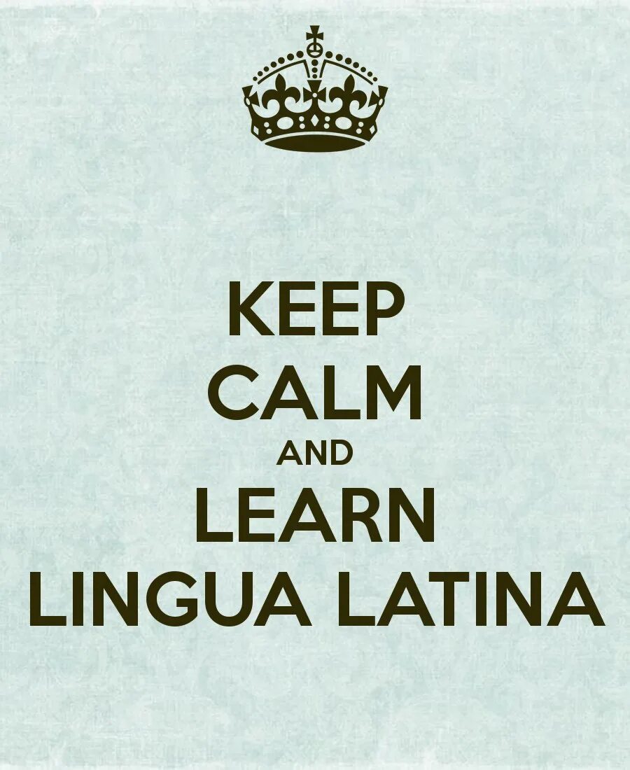 Картинки lingua latina. Lingua latina non est. Lingua latina non est. Непроходим путь в медицине без латинского языка. Медицинская латынь lingua latina.
