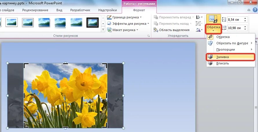 Обрезать рисунок в POWERPOINT. Вырезать фотографию для презентации. Обрезанные картинки для презентации. Как обрезать фото в повер поинте