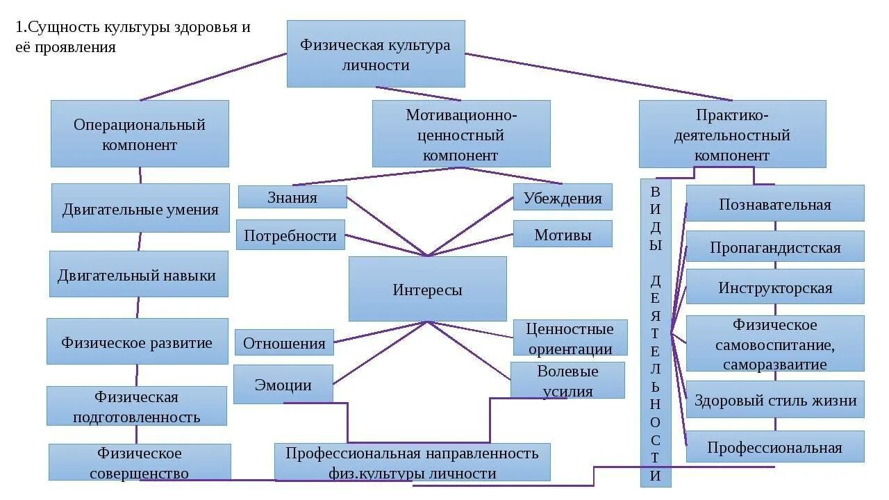 Какие основные составляющие культуры. Компоненты физической культуры личности. Структура физической культуры личности. Структурные компоненты физической культуры. Компоненты структуры физической культуры личности.