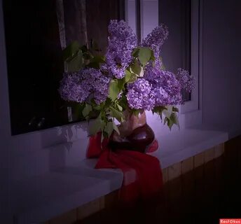 Вечерние цветы