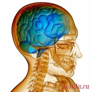 Давления черепного мозга