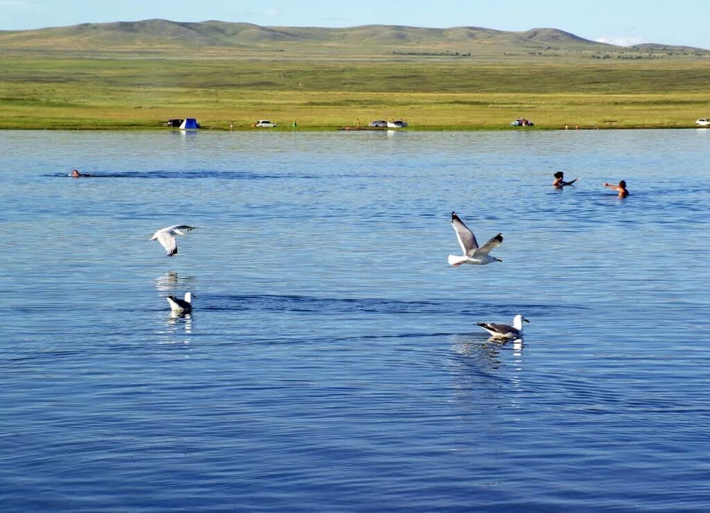 Озеро дус холь. Озеро Хадын Тыва. Кызыл озеро Хадын. Озеро дус-Холь Кызыл. Сватиково озеро в Туве.