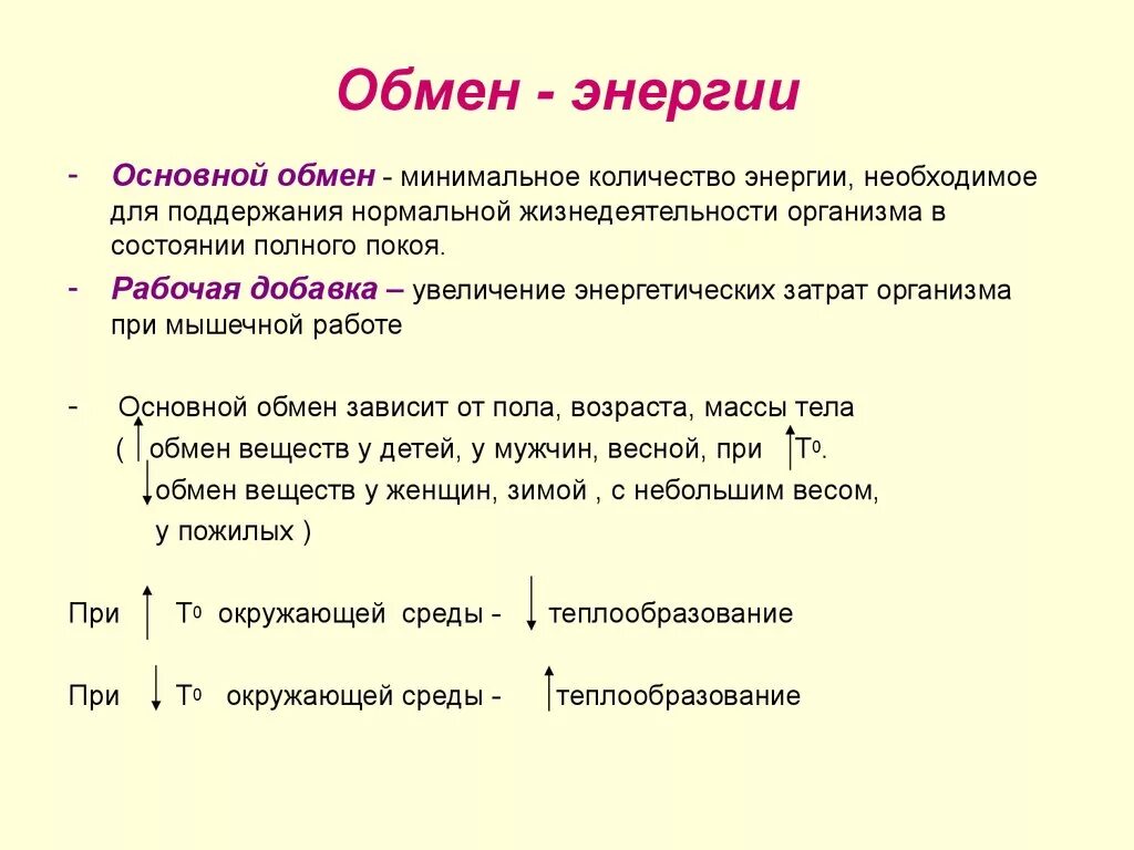 Основные функции обмена веществ. Уровни обмена энергии в организме. Основной обмен. Основной обмен энергии. Основной обмен веществ.