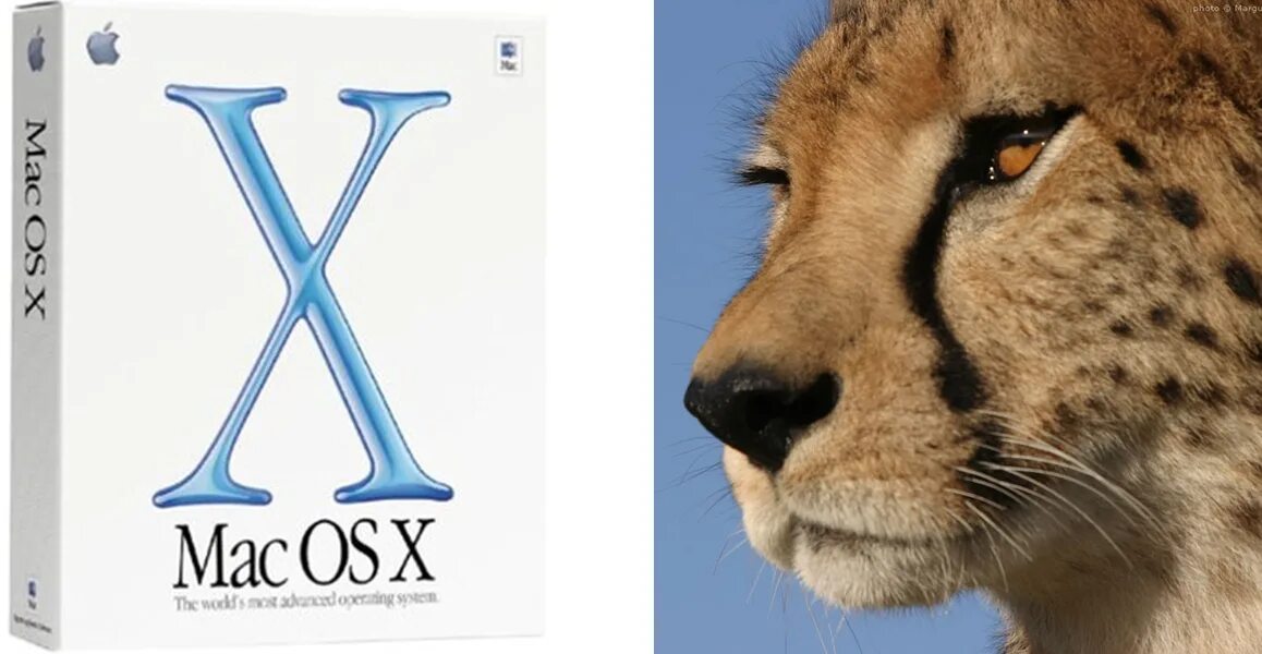 Os 10.1 1