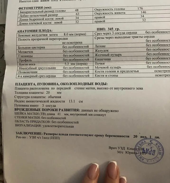Беременность 31 неделя шейка норма. Боковые желудочки мозга скрининг 2 триместра. узи желудочков головного мозга плода. узи 21-22 недели беременности норма. задние рога боковых желудочков плода.