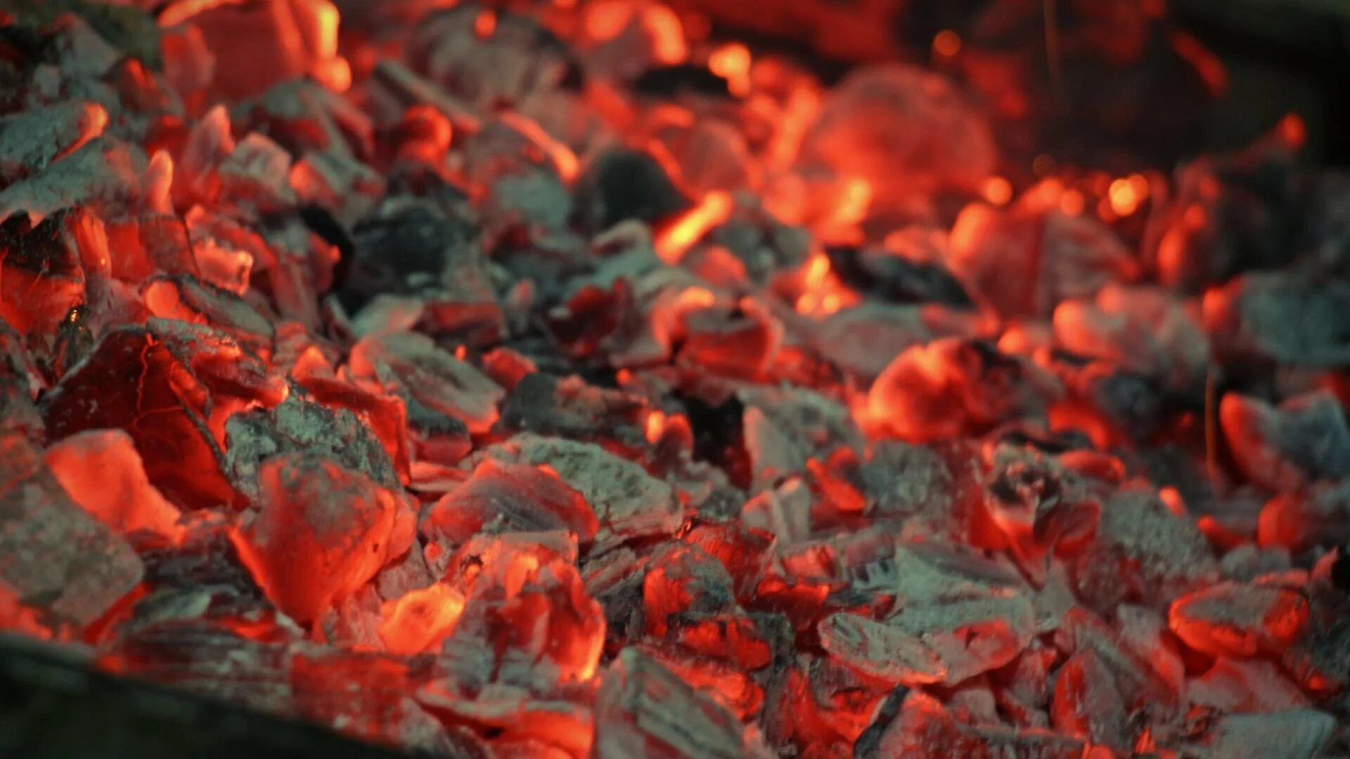 Swallow coals