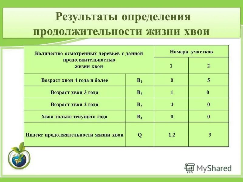 Общее число обследованных хвоинок. Таблица повреждений хвоинок. Продолжительность жизни хвоя. Продолжительность жизни сосны обыкновенной. Продолжительность жизни хвоя.
