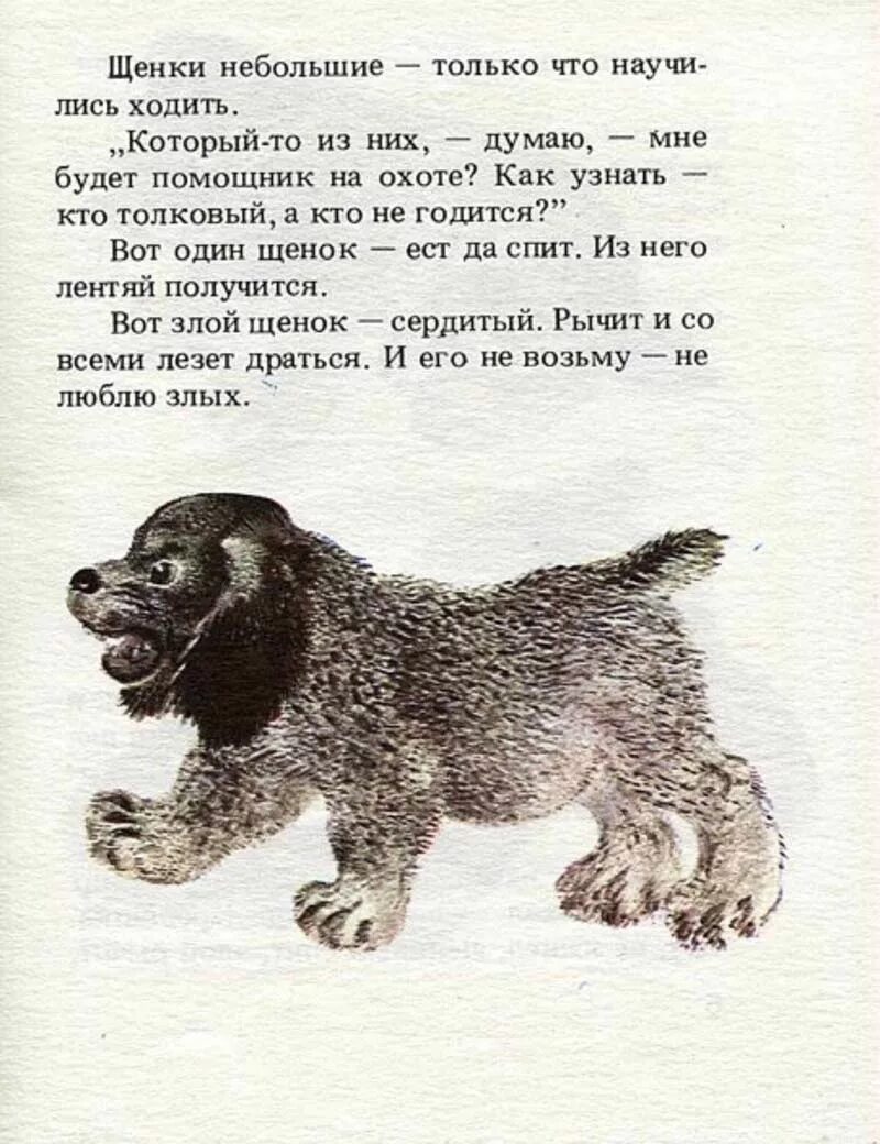 Произведение Чарушина про Томку. Чарушин рассказы про Томку. Рассказ Чарушина Томка. Томка читательского дневника