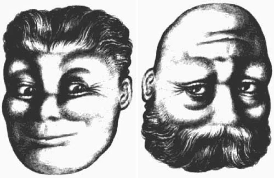 Лицо перевертыш. Оптические иллюзии перевертыши. портрет перевертыш.