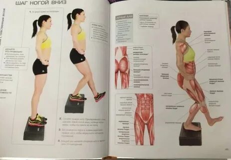 Книга анатомия женщины