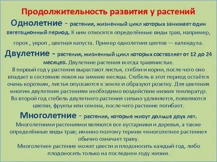 Определите последовательность развития однолетних травянистых растений