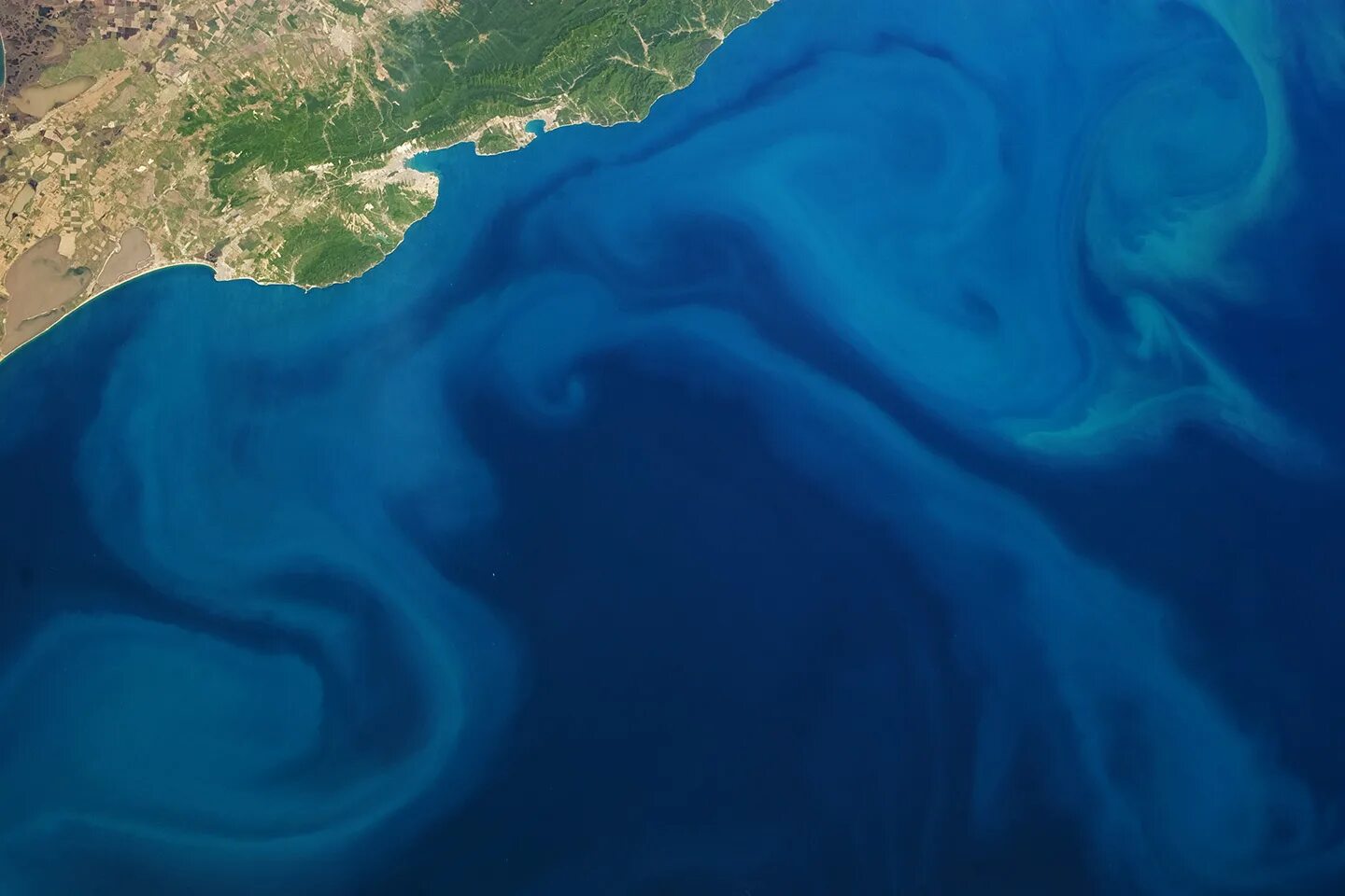Течения в морях и океанах. Цветение фитопланктона в черном море. Черное море снимок со спутника. Течение Гольфстрим со спутника. Течение Гольфстрим фото.