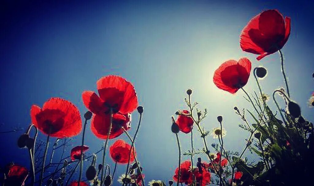 Less we forget. Less we forget