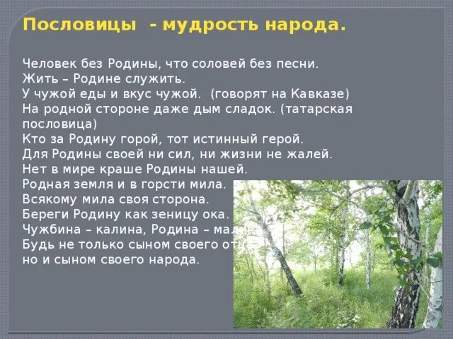 Пословица человек без Родины что Соловей без песни. Человек без Родины. Говорят на Кавказе живет дикий. Человек без Родины что человек без песни. Песни говорят на кавказе живет дикий