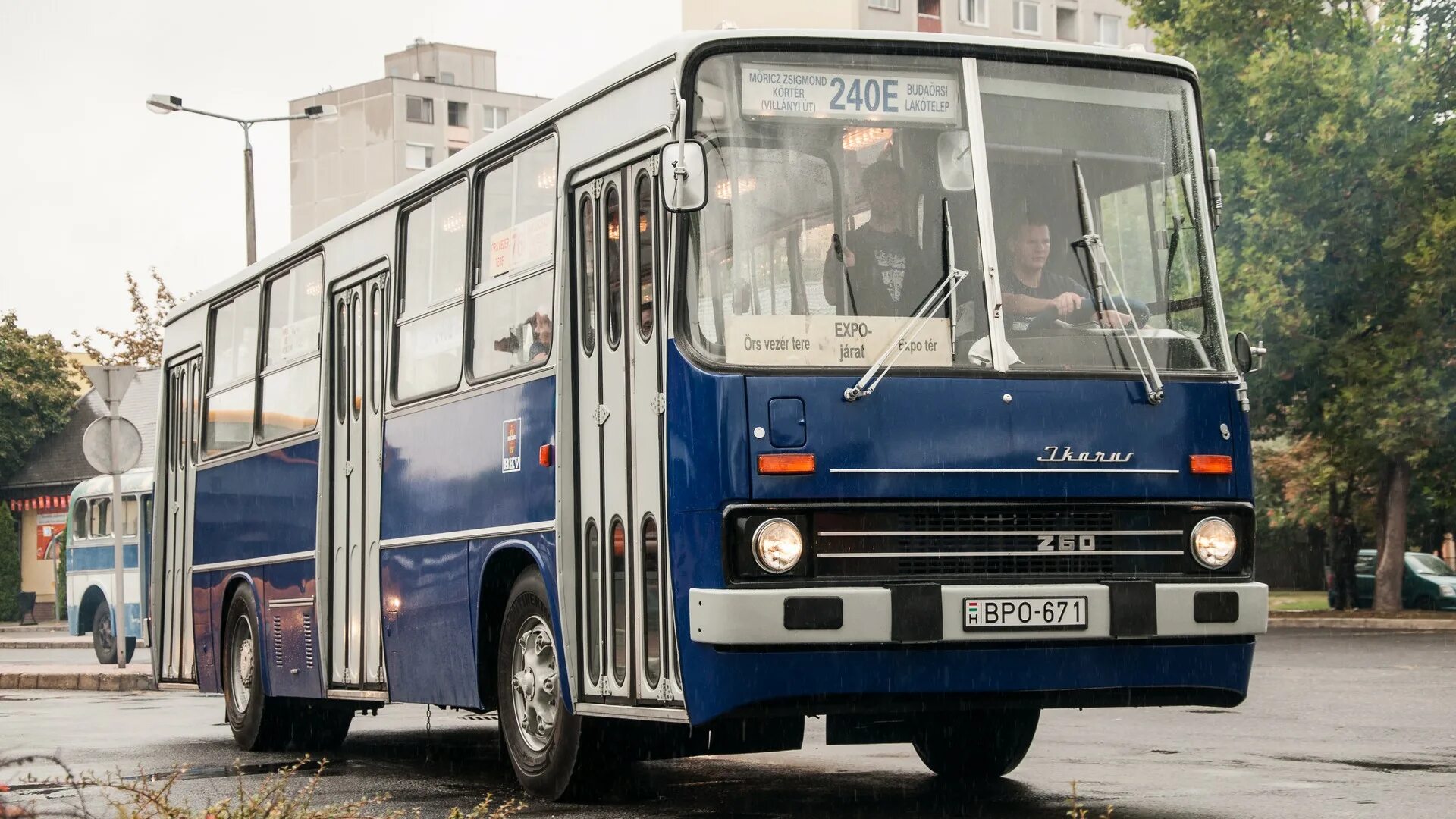 Автобус икарус 260. Икарус 260.00. икарус 260.06. ikarus 260 автобус. икарус 260.51.