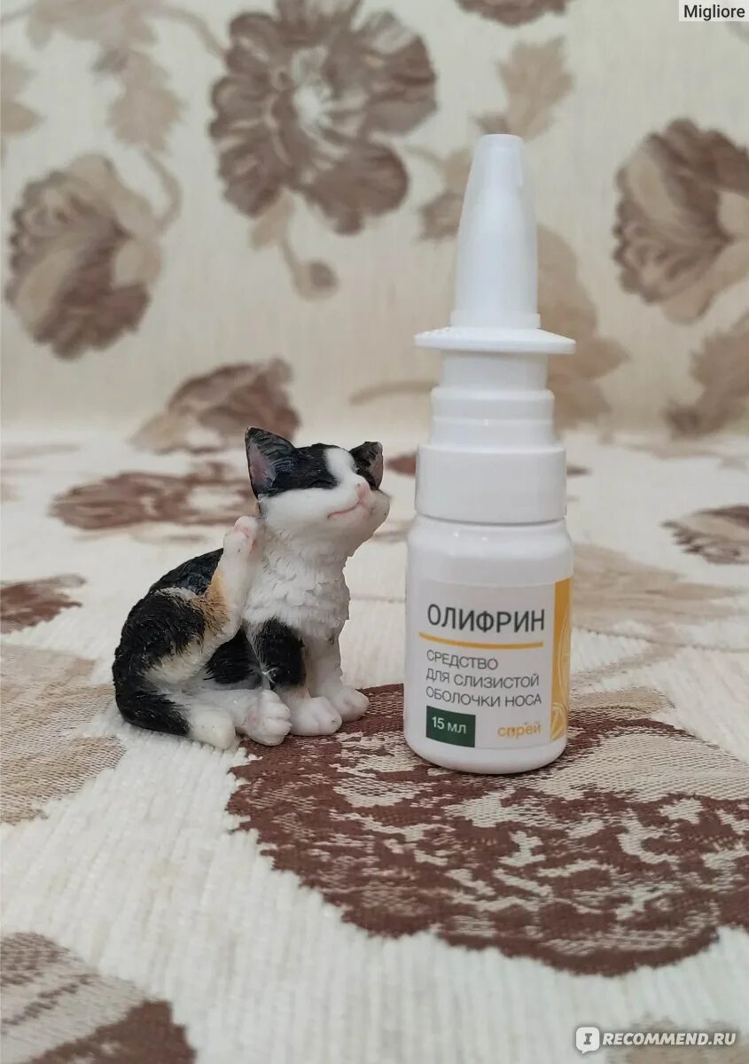 Капли которые не сушат слизистую. Капли которые не сушат слизистую