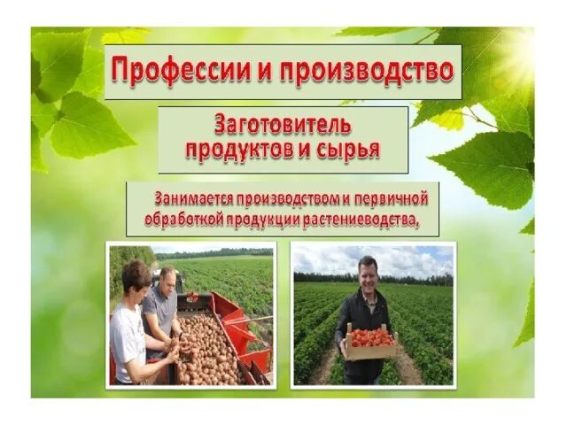 Сельскохозяйственное и растительное сырье. Переработка сельскохозяйственной продукции. Сельскохозяйственное и растительное сырье. Сх продукция. Сх продукция.