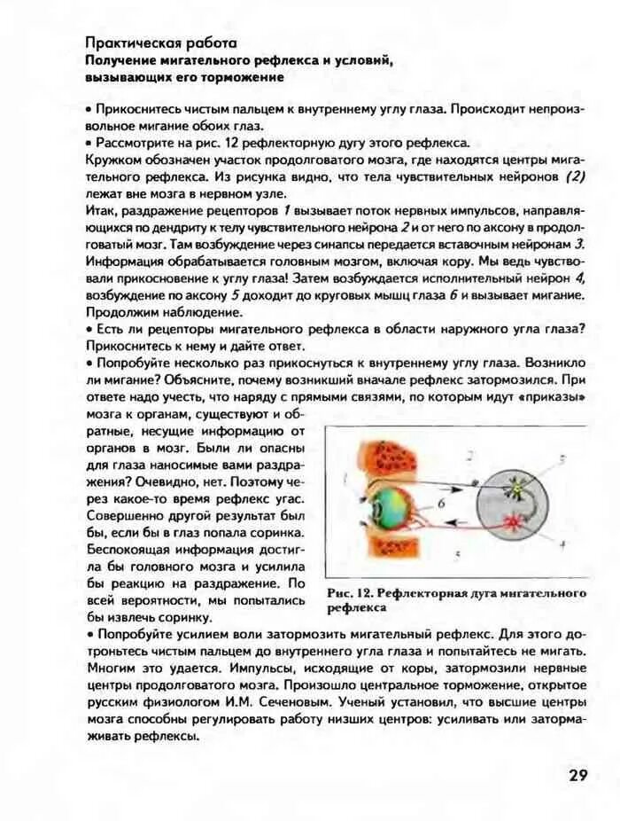 8 класс лабораторная. Лабораторная работа по биологии 8 мигательный рефлекс. Практическая работа по биологии мигательный рефлекс. Биология 8 класс практическая работа мигательного рефлекса. Практическая работа получение мигательного рефлекса.