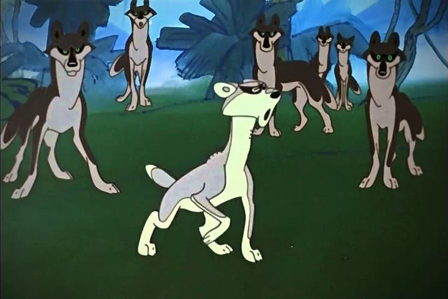 Акела волк из маугли. Мультфильм маугли акела. Маугли акела советский мультфильм. Акело. Акела волк из маугли.