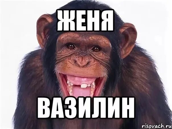 Стишок про женьку смешной. Женя мем. Женя топ мем. Про женьку. Шутки про женю.