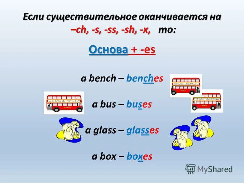 Множественное число существительных англ яз таблица. Правило написания множественного числа в английском языке. Напишите множественное число существительных bus. Английский язык write in the plural. Напишите множественное число существительных bus.