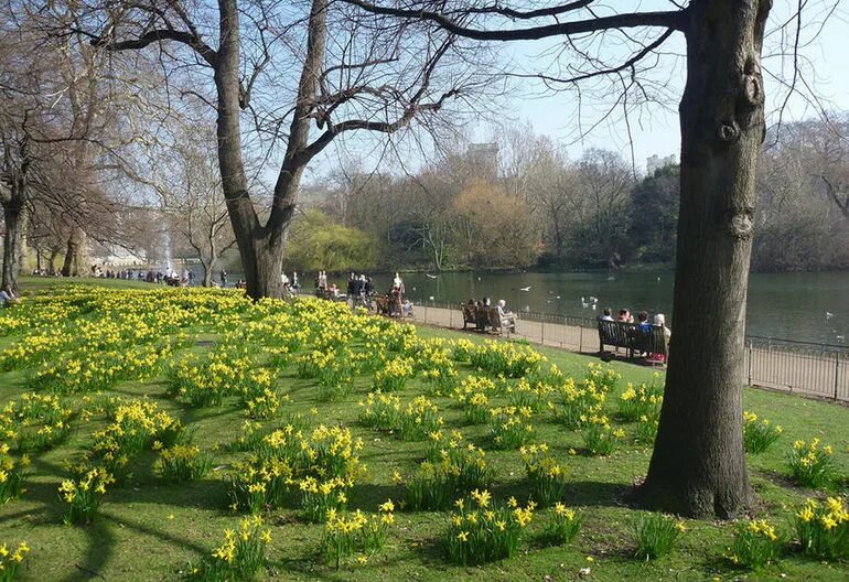 Парк лондона hyde park. Гайд-парк (hyde park), лондон. Парк лондона hyde park. Гайд-парк (hyde park), лондон. The park london.