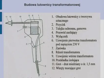 Что является рабочим органом рыбоочистительной машины