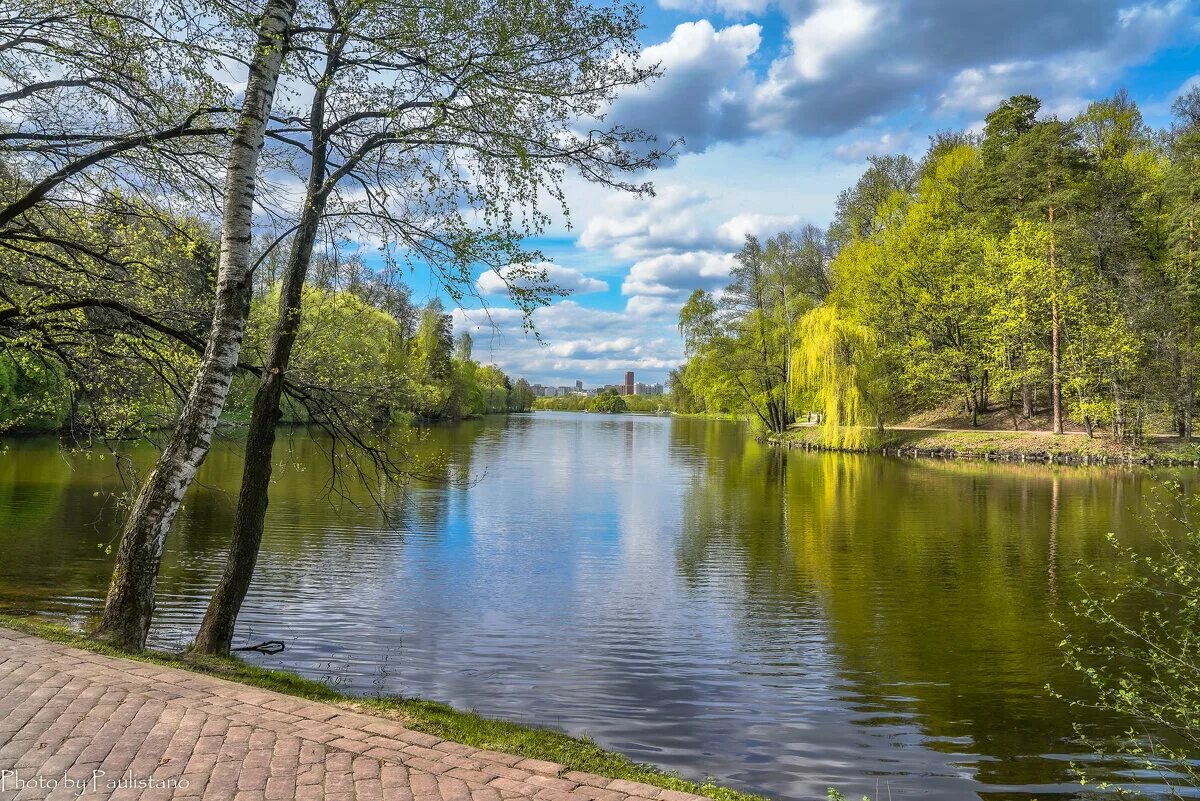 Царицынские пруды. Царицыно природа. Царицыно пруд. Прогулка у пруда. Май на пруду