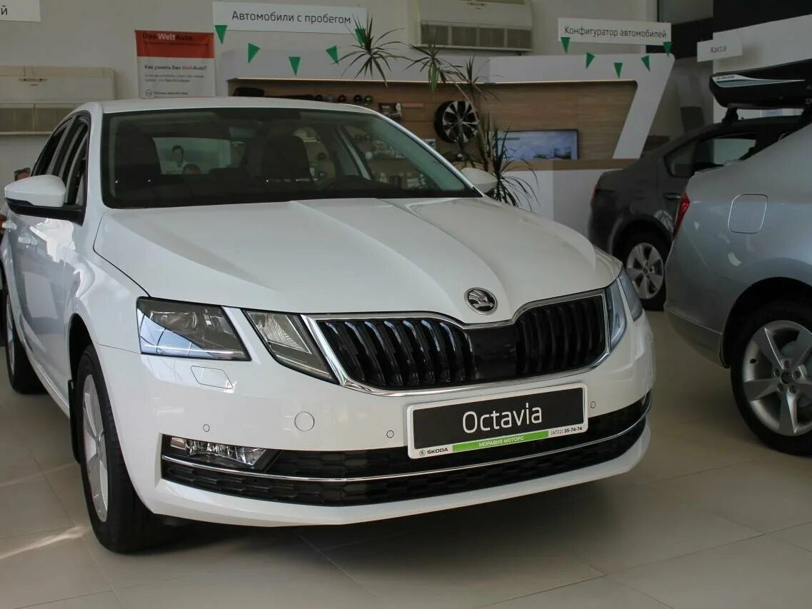 Купить шкода спб бу. Skoda Octavia a7 рест белая. Шкода Сигма. Skoda 300. Шкода Сигма купить.