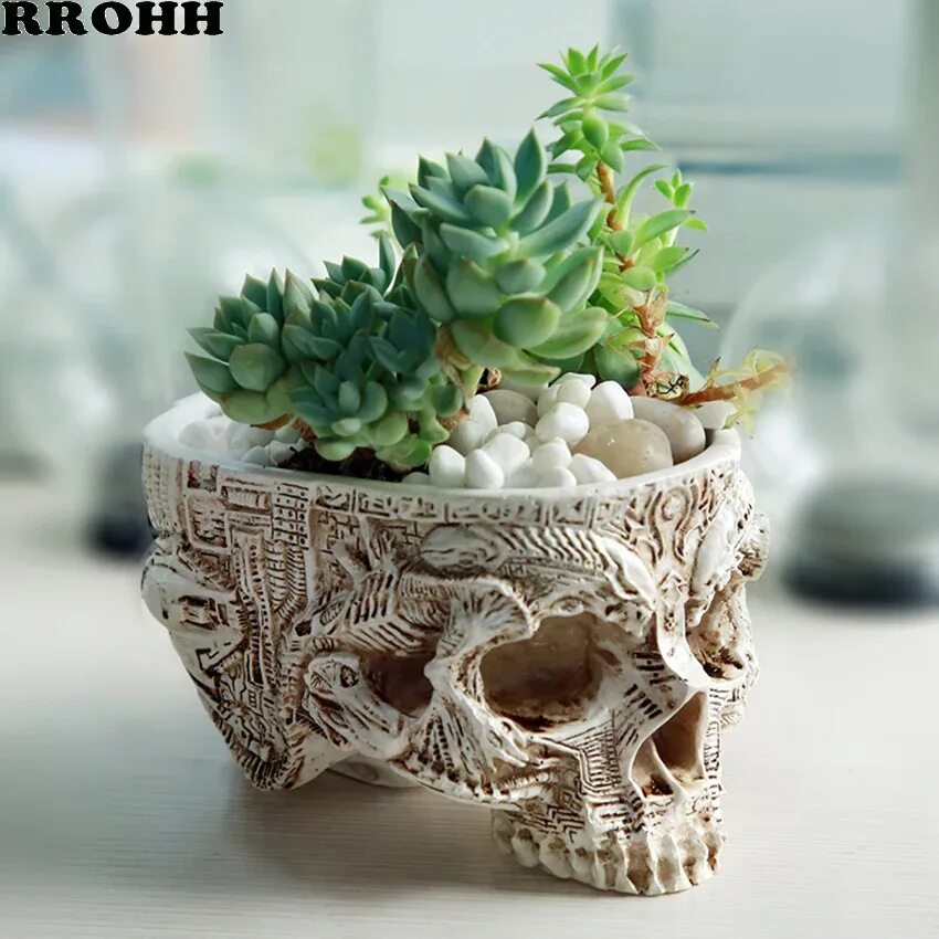 Необычные горшки для кактусов. Креативные горшки для кактусов. Необычные кашпо. Креативный горшок. Необычные цветочные горшки.