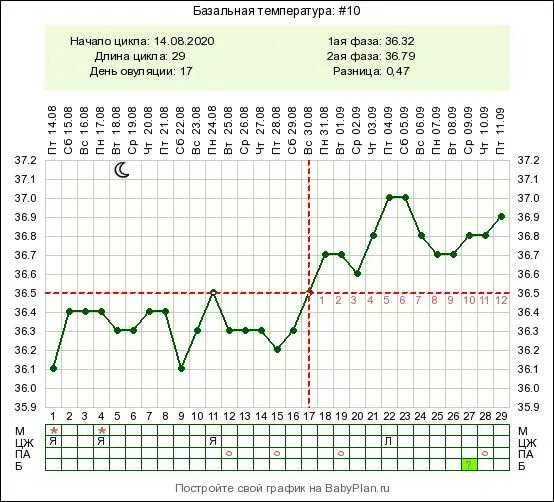 Температура женщины перед месячными. График базальной температуры с ранней овуляцией. График базальной температуры если произошло зачатие. График базальной температуры после овуляции. График базальной температуры при овуляции.