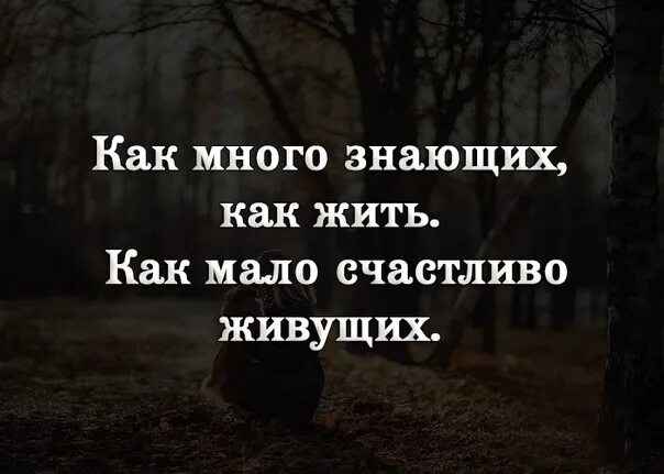 Как много знающих как жить как мало. Как много знающих как жить как мало счастливо живущих. как мало счастливо живущих цитаты. как много знающих как жить как. так много знающих как жить так мало счастливо живущих.