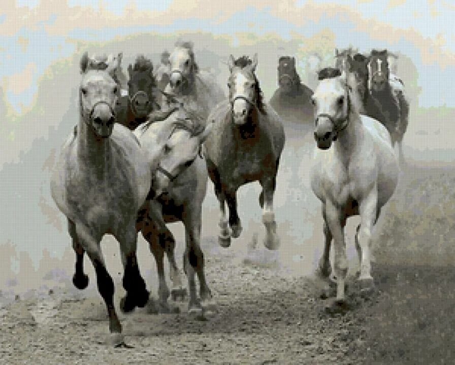 Эх вы кони мои кони. Эх вы кони мои кони. Эх вы кони мои кони. Ой вы кони стальные. Пара лошадей.