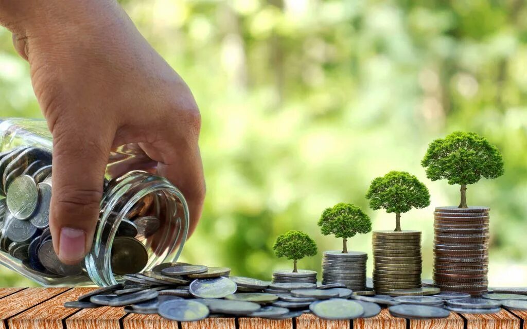 Инвестировать деньги в активы. Деньги и природа. Деньги и экология. Пассивный доход. Дерево инвестиции.