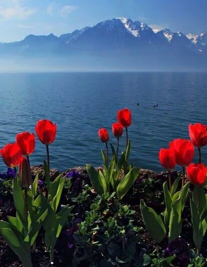 Кутман тан. Кутман тан достор. картина кутман тан. кутман тан фото. кутман тан гулдор.