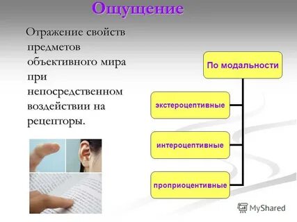 Правильное отражение свойств