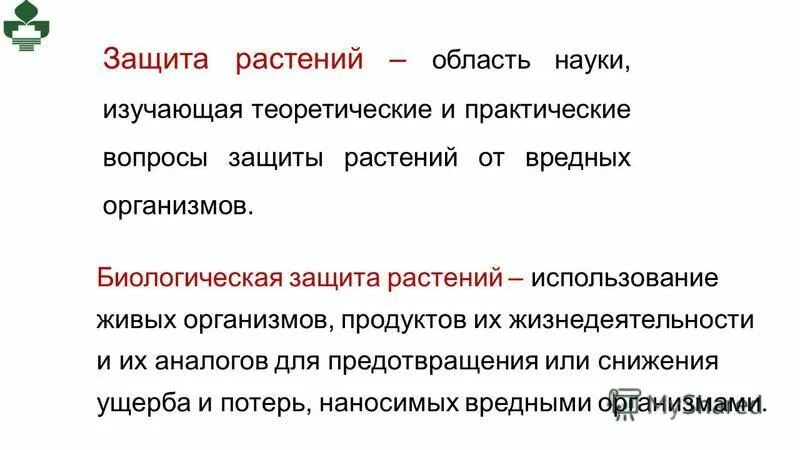 Опрыскивание растений. Защитные цветы. Защитные цветы. Защитные цветы. Цветы на окне.