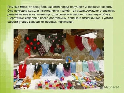 Большинство пород