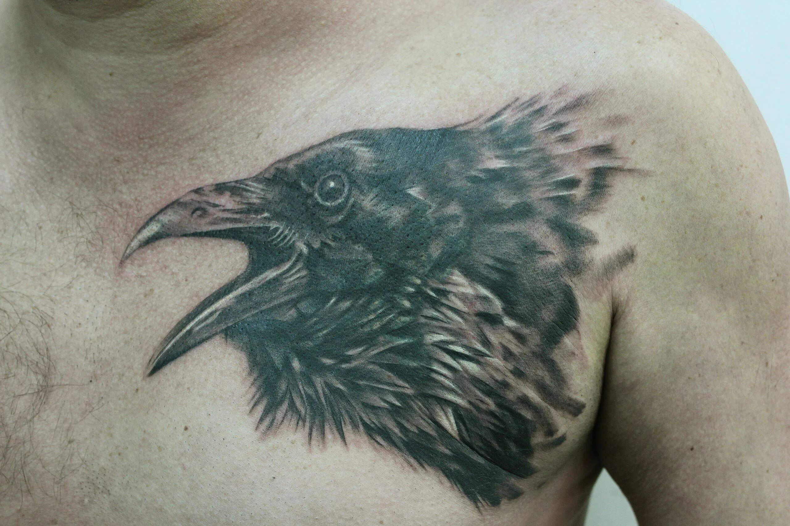 татуировка ворон. тату ворон блэкворк. тату вороны. татуировка ворон хугин. хугин и мунин тату на спине.