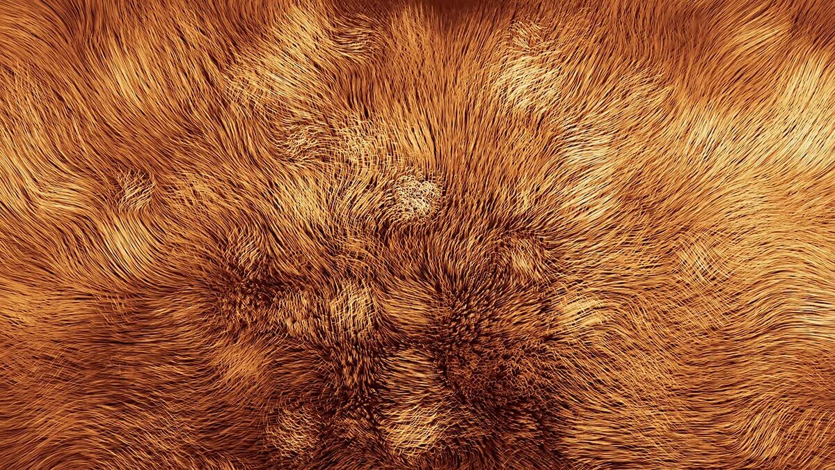 Серая шерсть. Текстура шерсти. Искусственный мех серый. Натуральный мех. Шерсть норки.