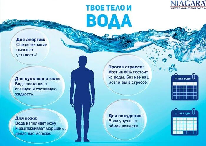 Почему за сутки вода. Сколько пить воды. Воды пить в день. Польза воды. Польза воды для организма человека.