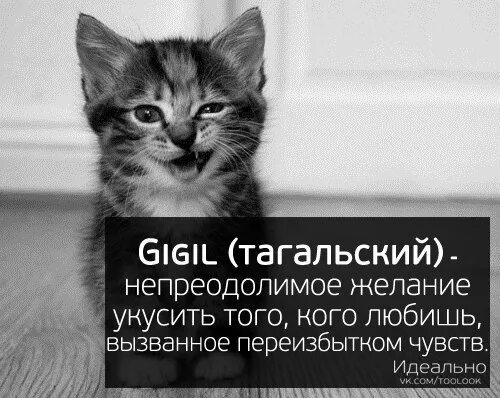 Как называется когда хочешь укусить человека любимого. Желание укусить человека. желание укусить любимого человека. непреодолимое желание укусить. gigil это непреодолимое желание.