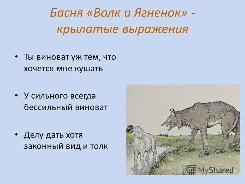 Виноват хочется мне кушать. И. А. Крылов. «Волк и ягненок» 5 класс. Волк и ягнёнок басня. Басня Крылова волк и ягненок. Мораль басни волк и ягненок.