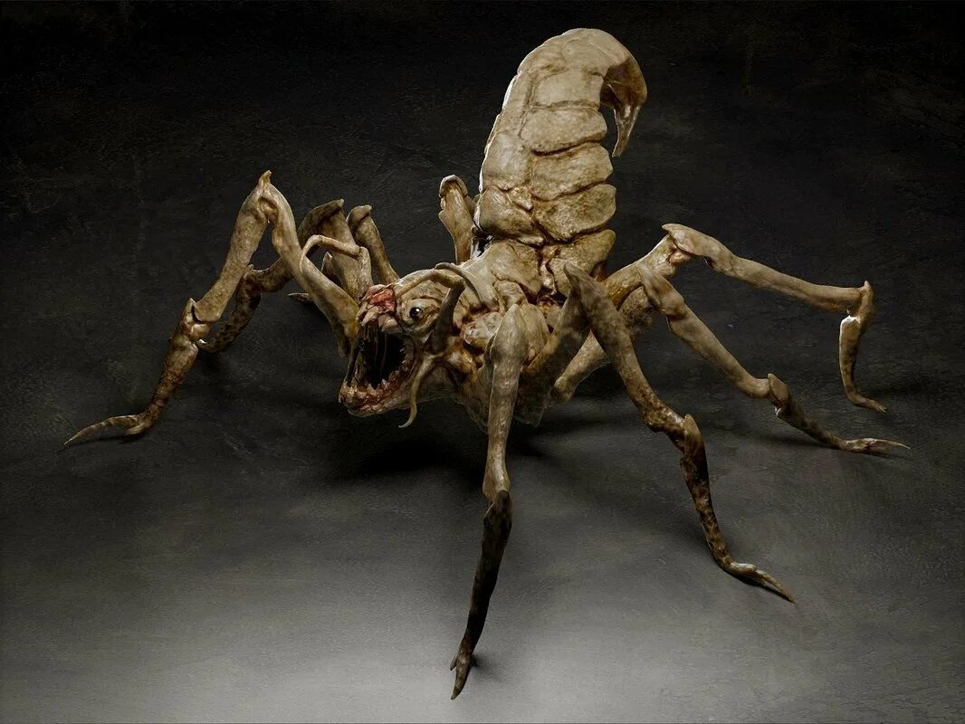 Паук мутант. Шелоб властелин колец. Унголианта паучиха. Гигантский паук resident evil. Паук мутант.