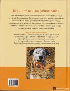 Главная мысль произведения собака