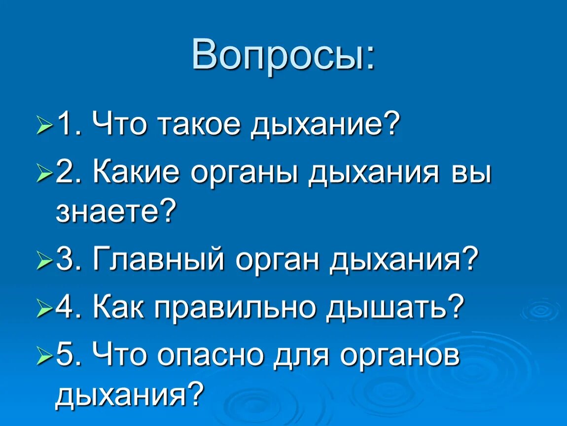 Время слова дышит. Вопросы по дыхательной системе. Вопросы про дыхательную систему. Вопросы по теме дыхание. Вопросы на тему дыхание.