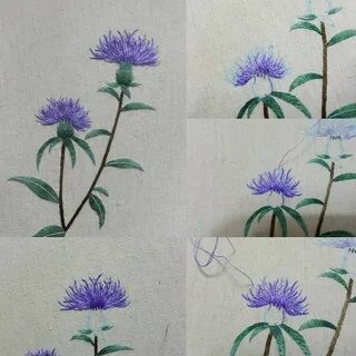 Как перенести василек