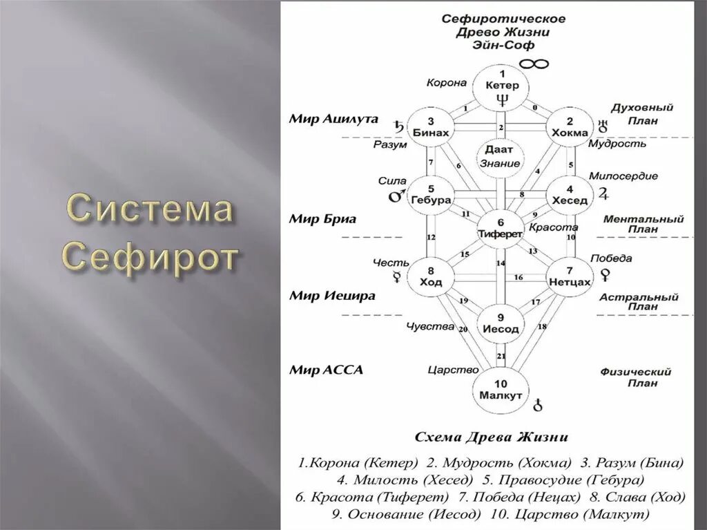 Каббалистическое Древо Сефирот. Древо Сефирот кетер. Древо жизни, Древо Сефирот. Схема дерева Сефирот.