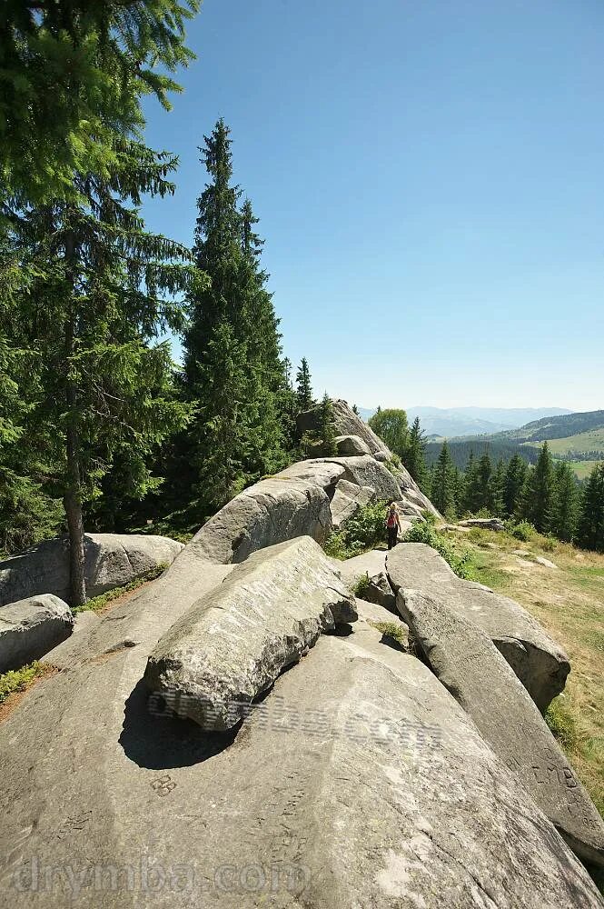 Камень гребень. Писаный камень Артемовский район. Писанец (писаный камень). Ирбитский писаный камень. Ирбитский Писанец.